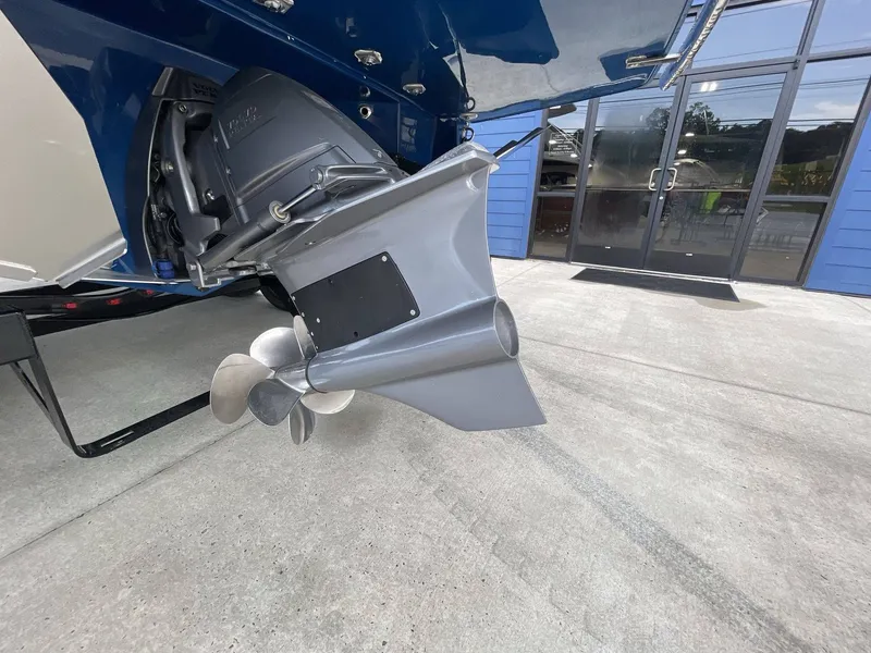 Slide: The Image of Regal LS6 Surf 2024 - 6