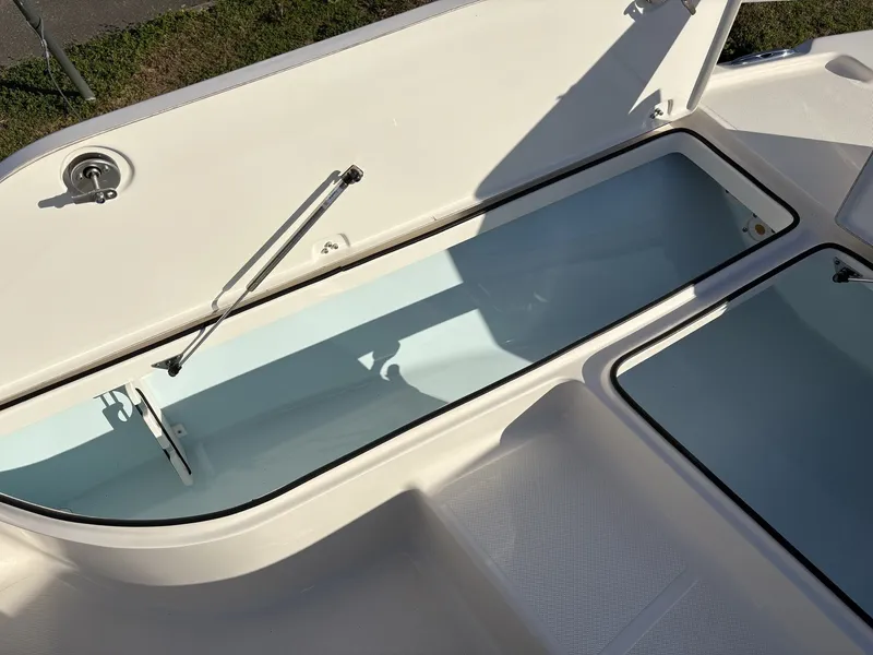 Slide: The Image of Sea Born FX FX21 2024 - 25