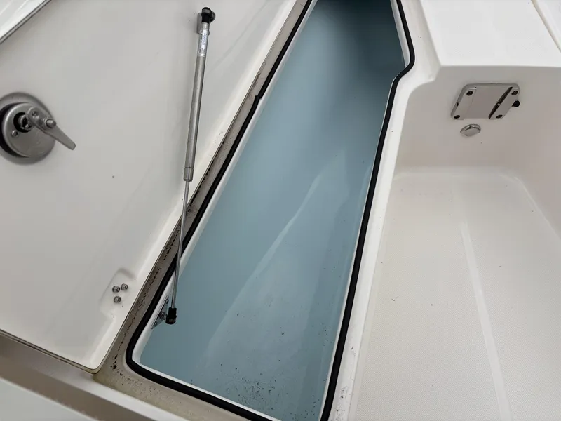 Slide: The Image of Sea Born LX LX24 2025 - 22