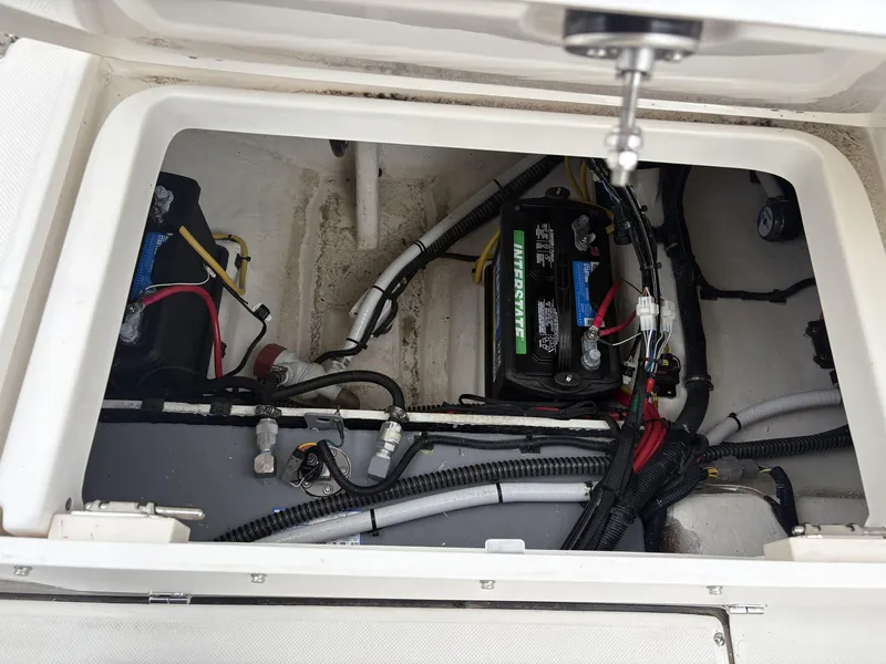 Slide: The Image of Sea Born LX LX24 2025 - 8