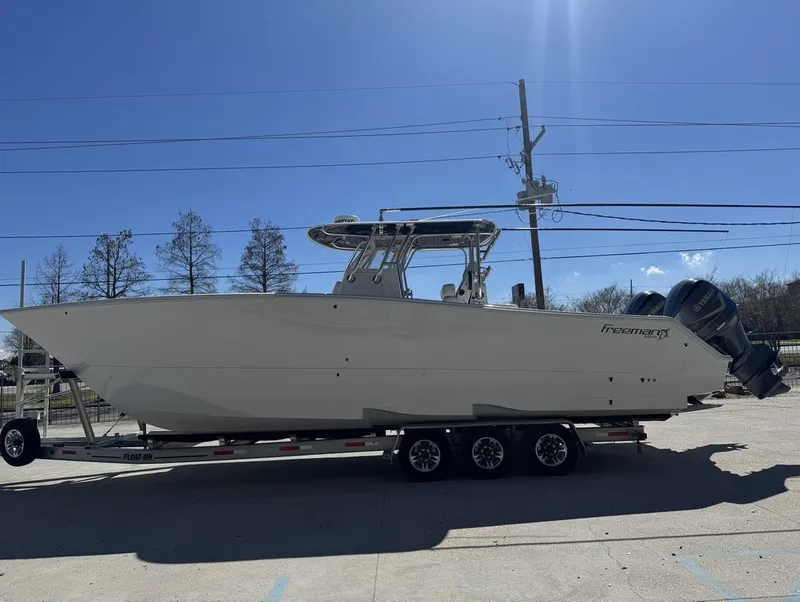 Slide: The Image of Freeman 34VH 2017 - 12