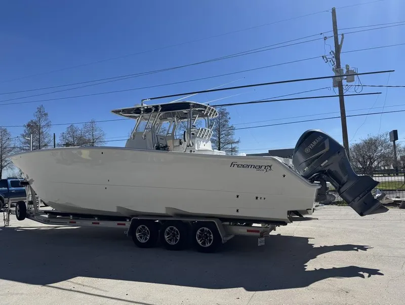 Slide: The Image of Freeman 34VH 2017 - 2