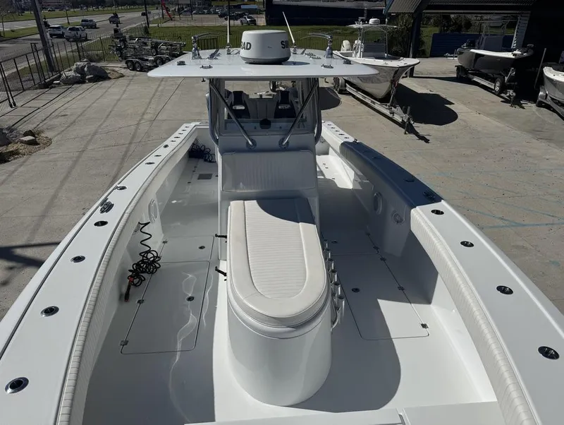 Slide: The Image of Freeman 34VH 2017 - 5