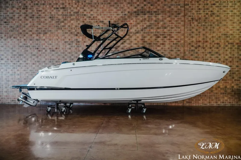 The Image of Cobalt R6 2026 - 1