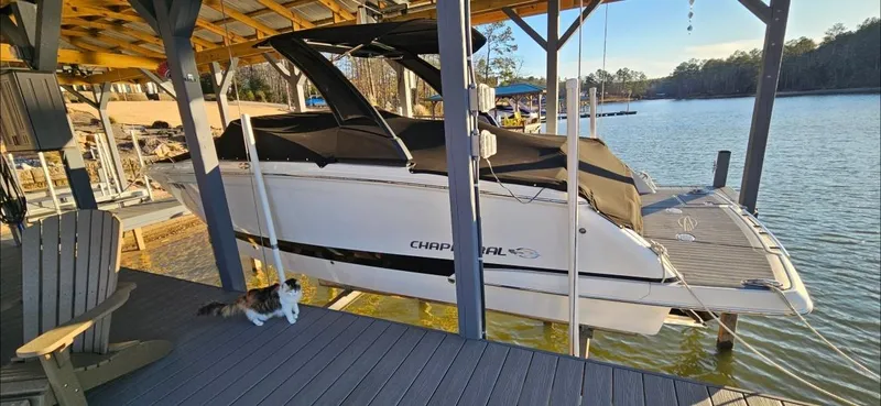 Slide: The Image of 2018 Chaparral 267 SSX boat docked by a lake, with a cat nearby. - 2