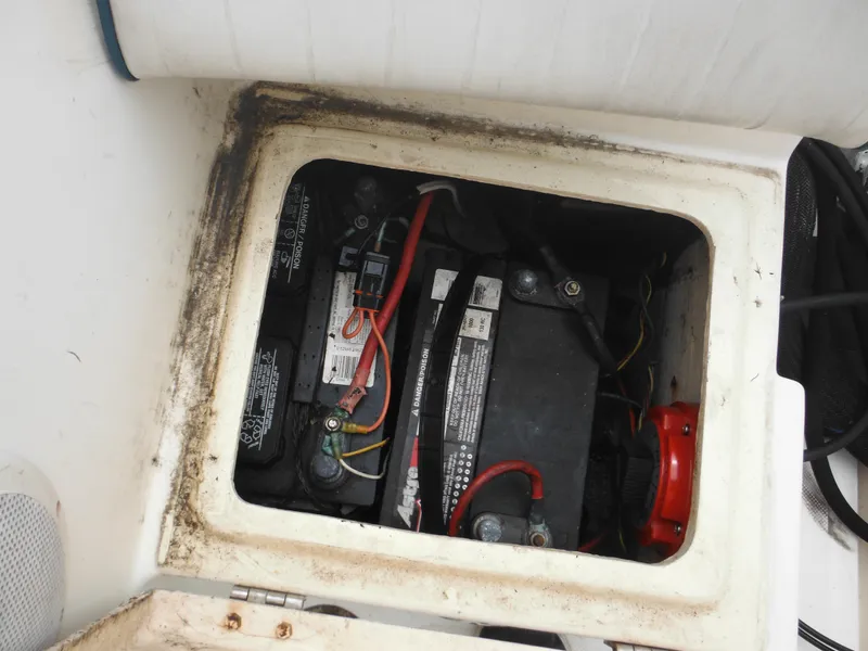 Slide: The Image of Hydra-Sports 2000 DC 1996 - 50