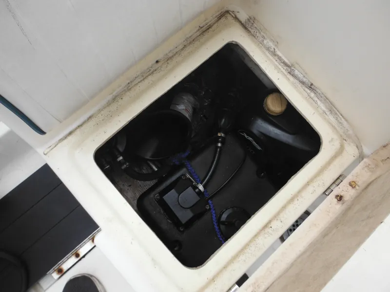 Slide: The Image of Hydra-Sports 2000 DC 1996 - 52