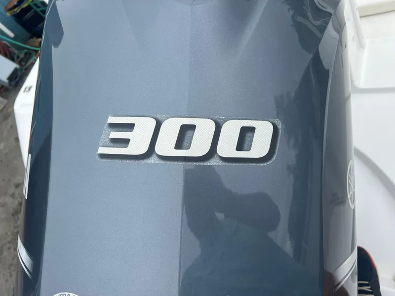 Slide: The Image of Edgewater 245CC 2018 - 36