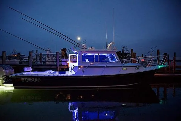 Slide: The Image of 2026 Steiger Craft 31 Miami boat illuminated at night in a marina. - 12