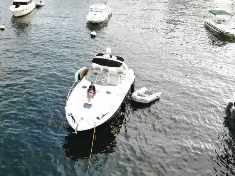 Slide: The Image of 2006 Sea Ray 340 Sundancer yacht anchored with people relaxing on deck. - 4