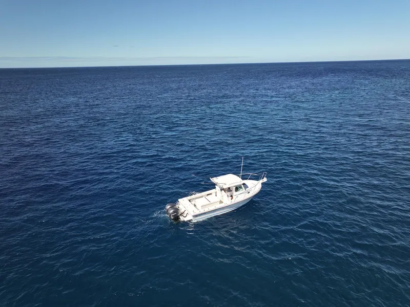 Slide: The Image of Steiger Craft 28 Hawaii 2026 boat on open ocean under clear blue sky. - 11
