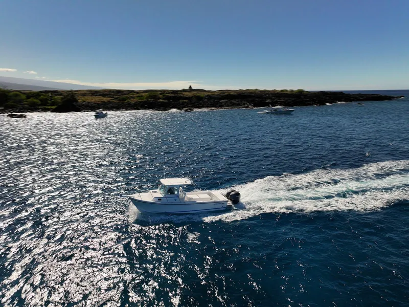 Slide: The Image of 2026 Steiger Craft 28 Hawaii boat cruising on a sunny ocean near rocky coastline. - 18