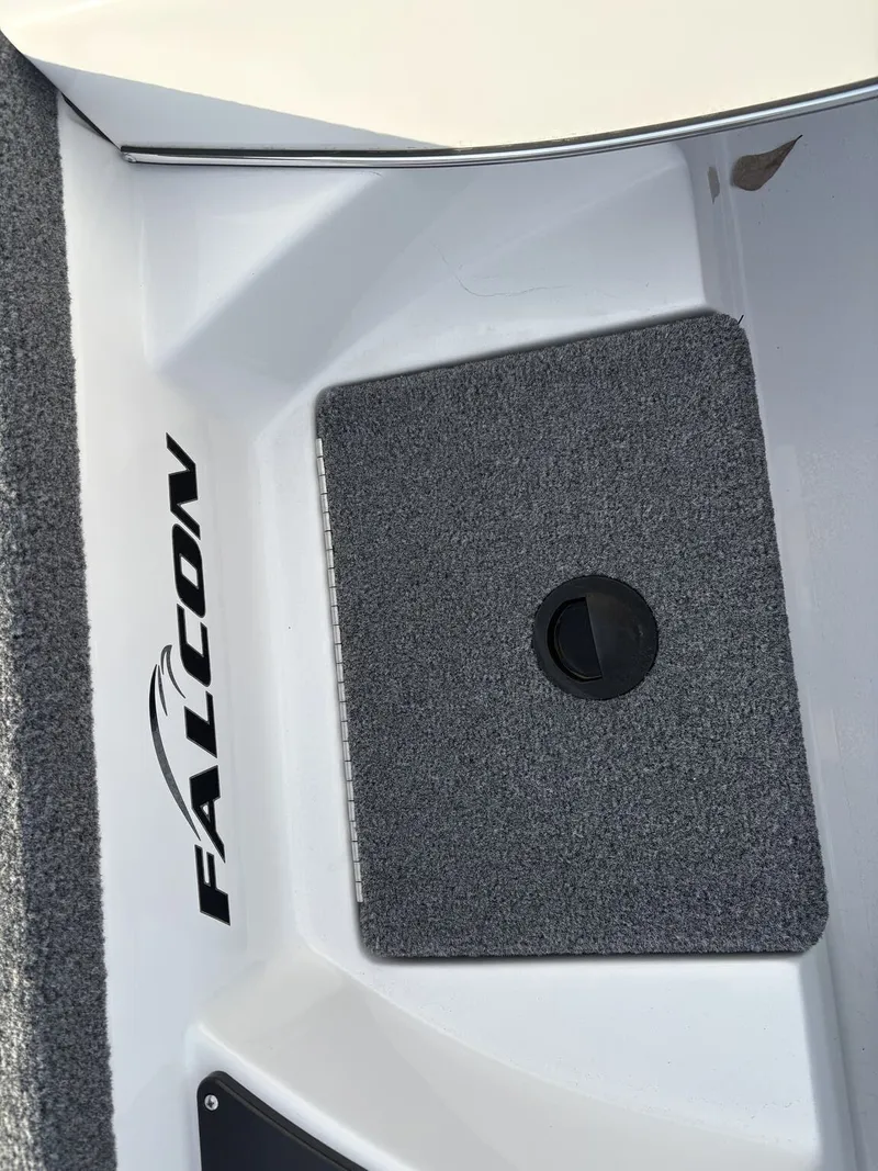 Slide: The Image of Falcon 18 Freedom 2025 - 20