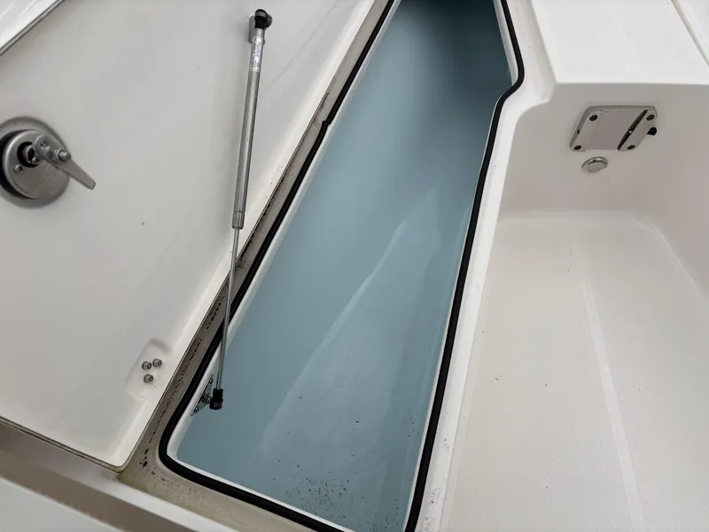 Slide: The Image of Sea Born LX LX24 2025 - 22