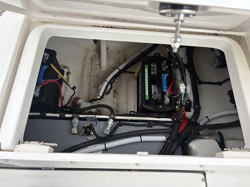 Slide: The Image of Sea Born LX LX24 2025 - 8