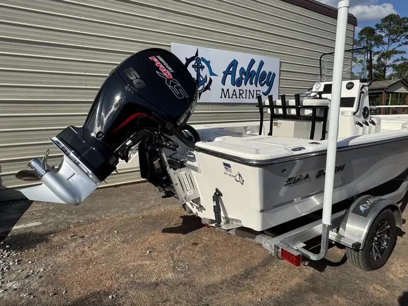 Slide: The Image of Sea Born FX FX21 2024 - 9