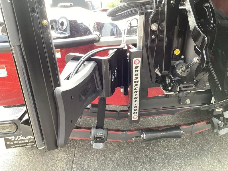 Slide: The Image of Bass Cat Lynx STS 2026 - 14