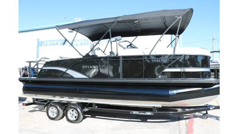 Slide: The Image of Sylvan L3 DLZ Tri Toon 2025 - 19