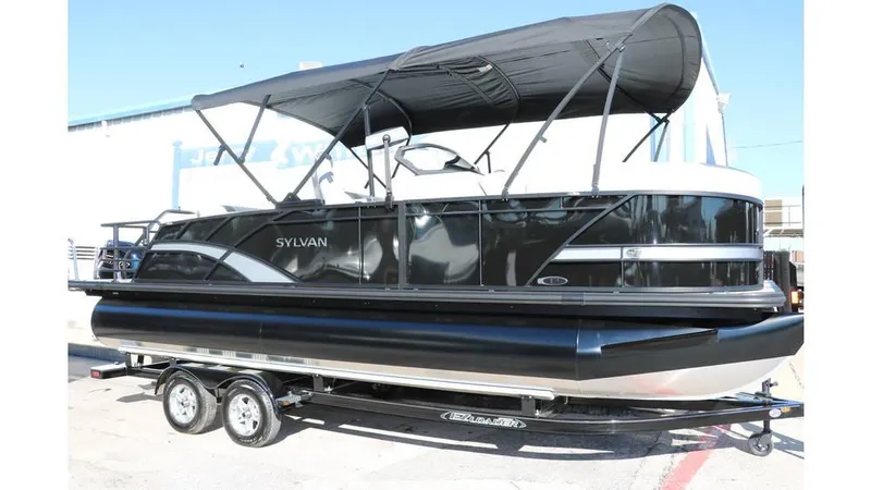 Slide: The Image of Sylvan L3 DLZ Tri Toon 2025 - 2