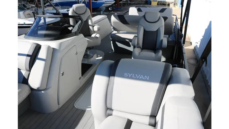 Slide: The Image of Sylvan L3 DLZ Tri Toon 2025 - 22