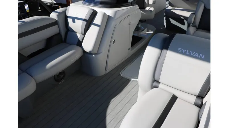 Slide: The Image of Sylvan L3 DLZ Tri Toon 2025 - 23