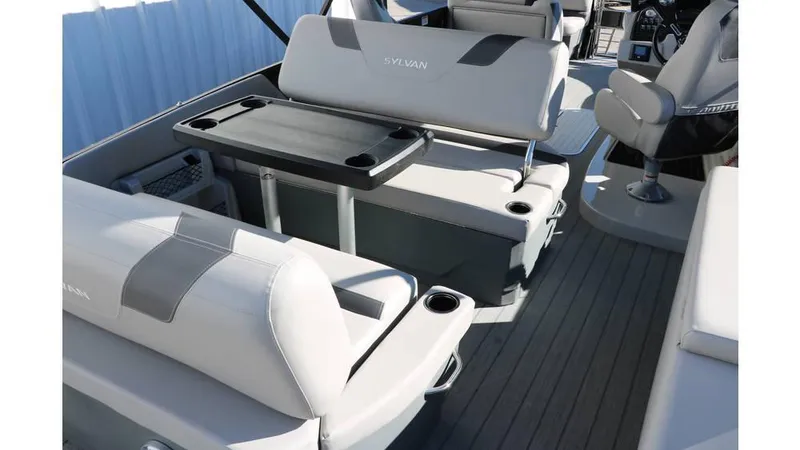 Slide: The Image of Sylvan L3 DLZ Tri Toon 2025 - 27