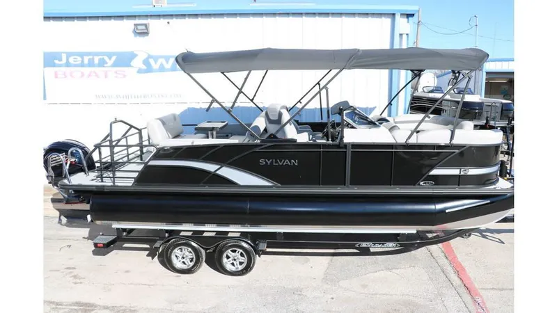 Slide: The Image of Sylvan L3 DLZ Tri Toon 2025 - 3