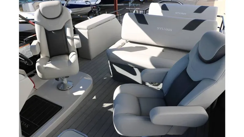 Slide: The Image of Sylvan L3 DLZ Tri Toon 2025 - 37