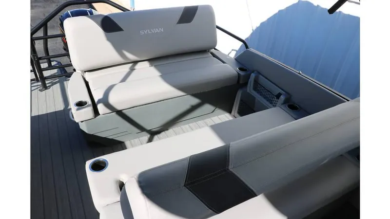 Slide: The Image of Sylvan L3 DLZ Tri Toon 2025 - 39