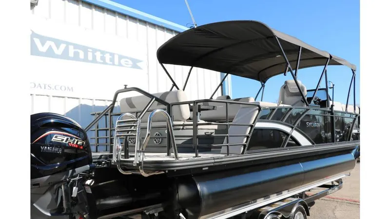 Slide: The Image of Sylvan L3 DLZ Tri Toon 2025 - 4