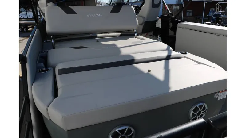 Slide: The Image of Sylvan L3 DLZ Tri Toon 2025 - 41