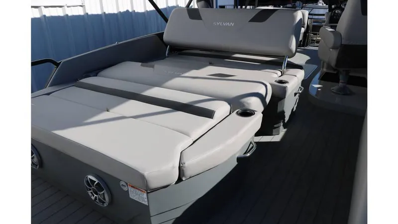 Slide: The Image of Sylvan L3 DLZ Tri Toon 2025 - 43