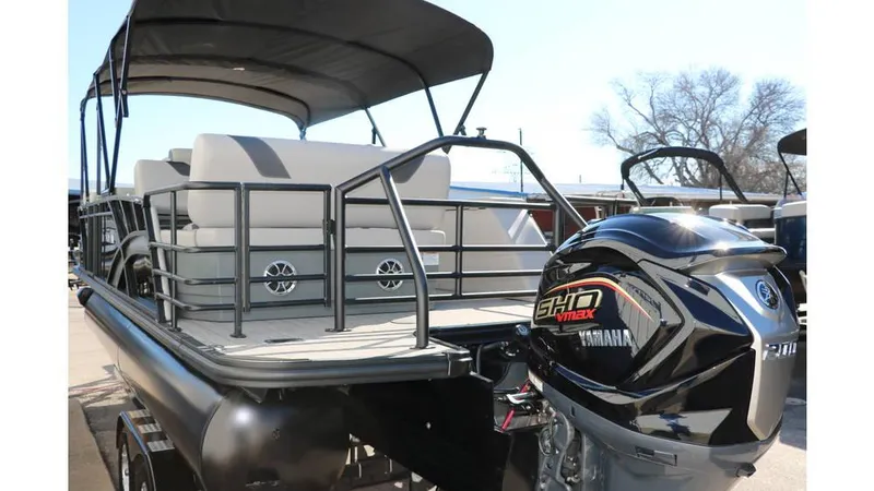 Slide: The Image of Sylvan L3 DLZ Tri Toon 2025 - 7