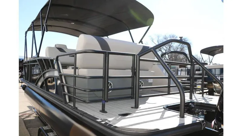 Slide: The Image of Sylvan L3 DLZ Tri Toon 2025 - 9