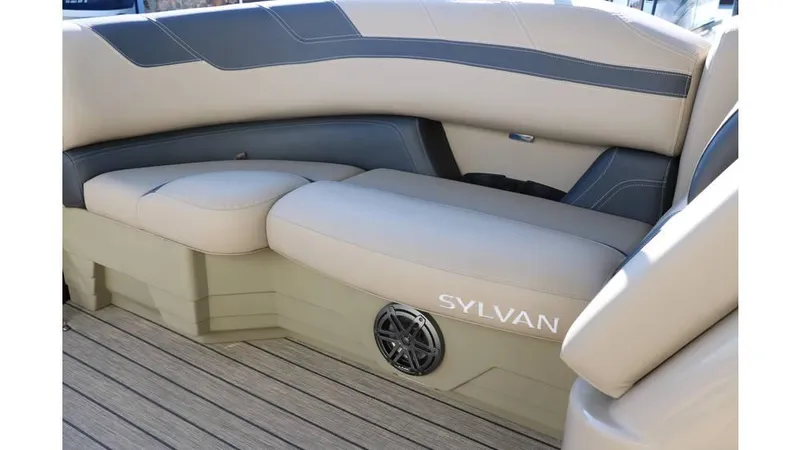 Slide: The Image of Sylvan L3 RLZ Tri Toon 2026 - 33