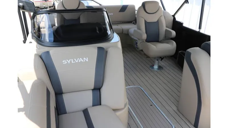 Slide: The Image of Sylvan L3 CLZ DH Tri Toon 2025 - 15