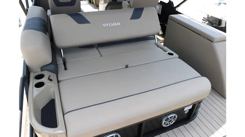 Slide: The Image of Sylvan L3 CLZ DH Tri Toon 2025 - 18