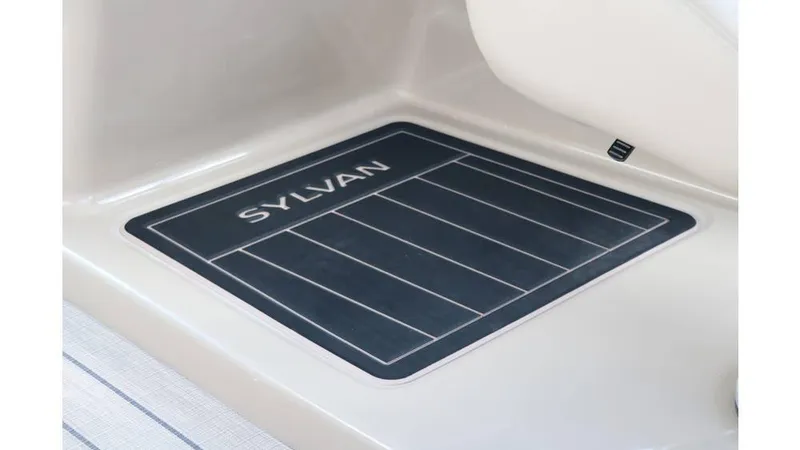 Slide: The Image of Sylvan L3 CLZ DH Tri Toon 2025 - 25