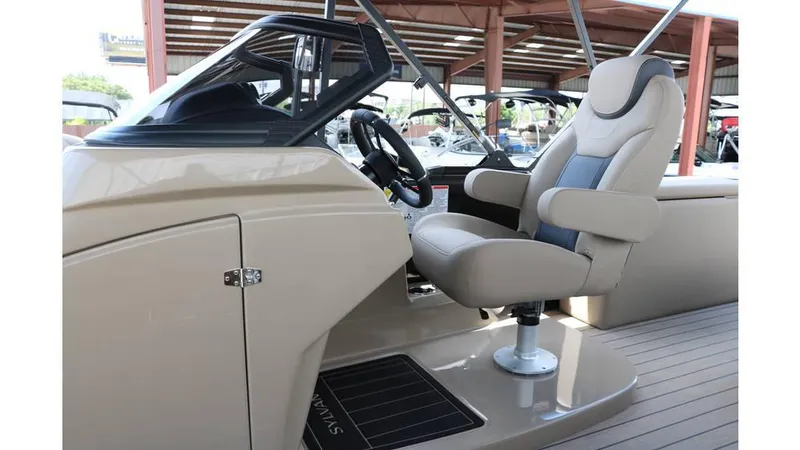 Slide: The Image of Sylvan L3 CLZ DH Tri Toon 2025 - 29