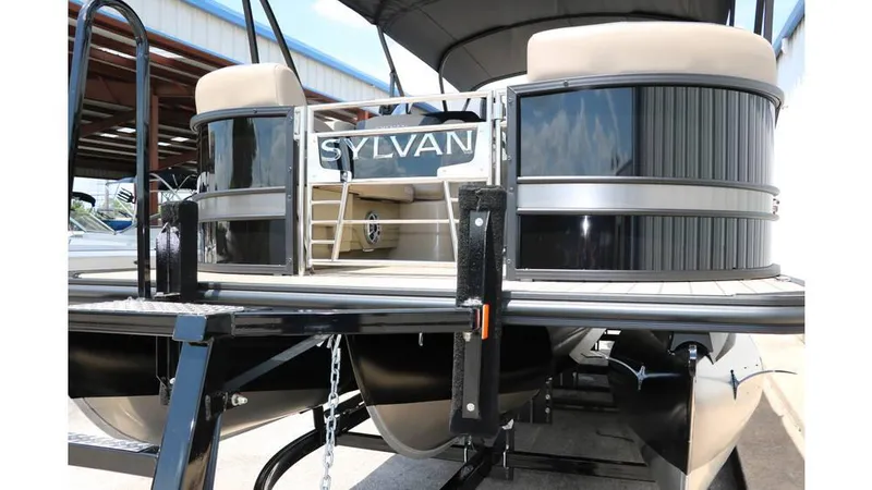 Slide: The Image of Sylvan L3 CLZ DH Tri Toon 2025 - 4