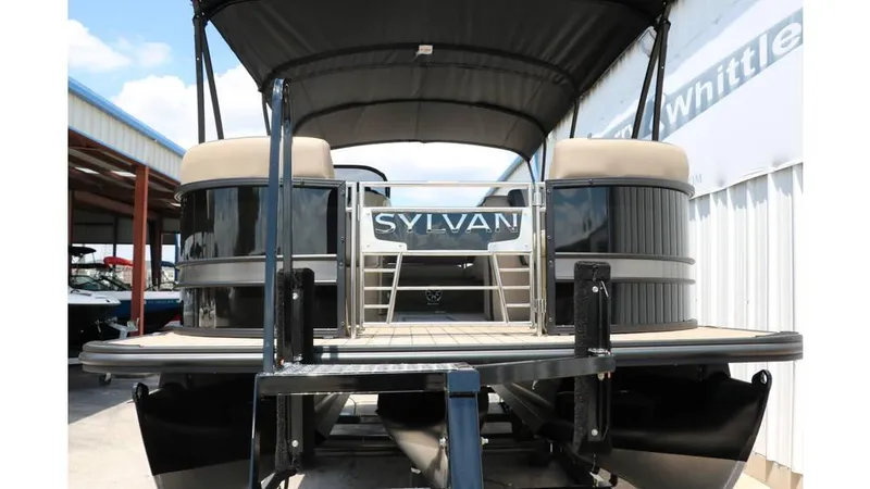 Slide: The Image of Sylvan L3 CLZ DH Tri Toon 2025 - 5