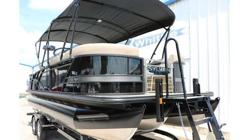 Slide: The Image of Sylvan L3 CLZ DH Tri Toon 2025 - 8