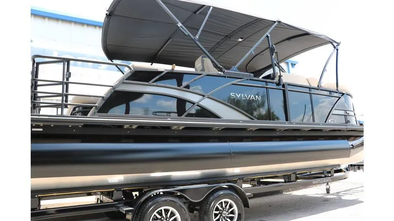 Slide: The Image of Sylvan L3 CLZ DH Tri Toon 2025 - 9