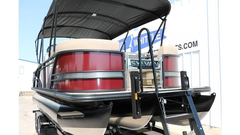 Slide: The Image of Sylvan L3 CLZ DH Tri Toon 2025 - 11