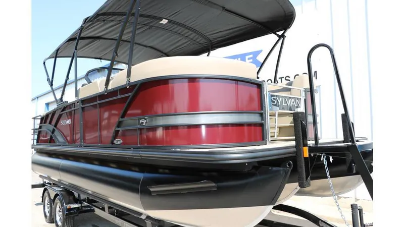 Slide: The Image of Sylvan L3 CLZ DH Tri Toon 2025 - 12