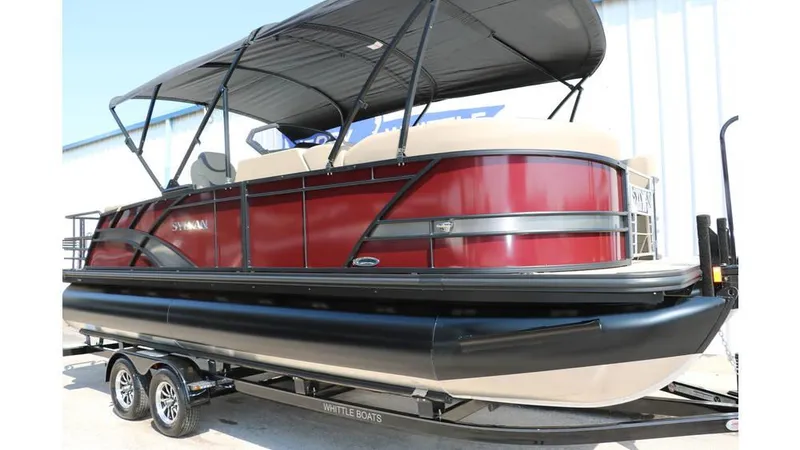 Slide: The Image of Sylvan L3 CLZ DH Tri Toon 2025 - 13