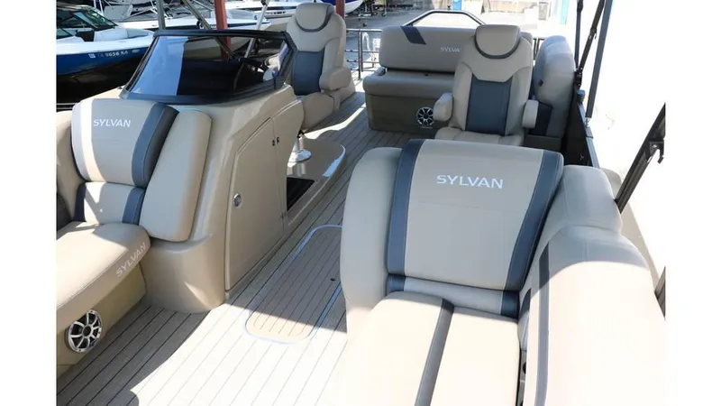 Slide: The Image of Sylvan L3 CLZ DH Tri Toon 2025 - 20