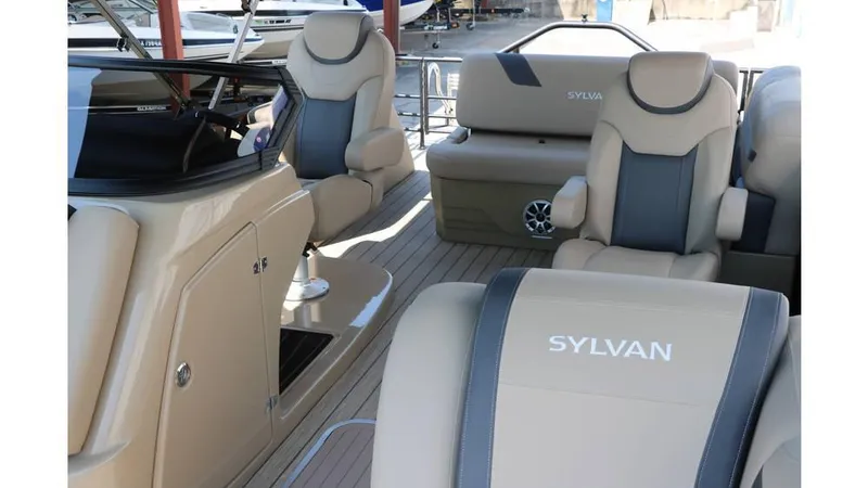 Slide: The Image of Sylvan L3 CLZ DH Tri Toon 2025 - 22