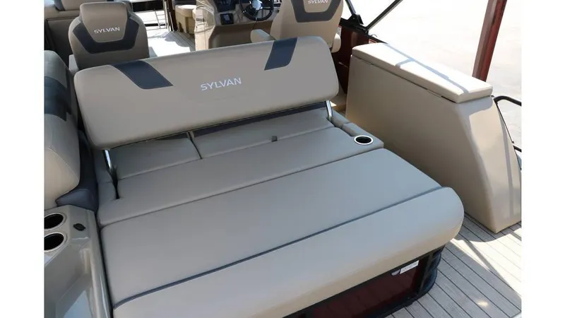 Slide: The Image of Sylvan L3 CLZ DH Tri Toon 2025 - 25