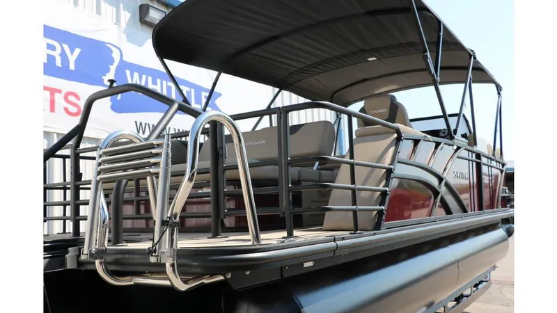 Slide: The Image of Sylvan L3 CLZ DH Tri Toon 2025 - 3